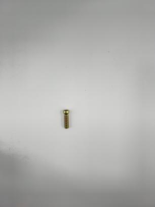 Skrūve eņģu stiprināšanai